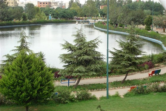 کشتی آزاد و فرنگی بزرگسالان قهرمانی کشور: