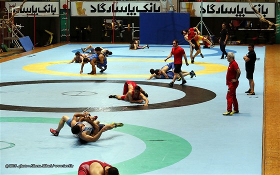 اردوی تیم ملی کشتی فرنگی بزرگسالان/ تهران :