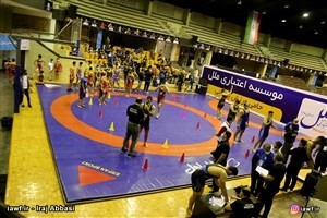 با اعلام فدراسیون کشتی :