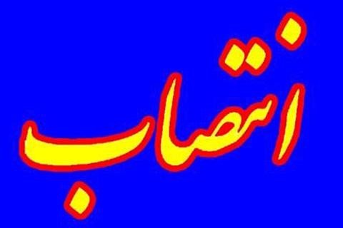 با معرفی اداره ورزش و جوانان شهرستان بهبهان و طی حکمی از سوی سرپرست هیأت کشتی خوزستان :